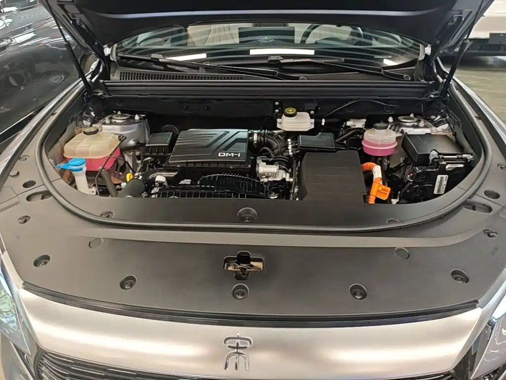 BYD Pro New Energy — миниатюра 20