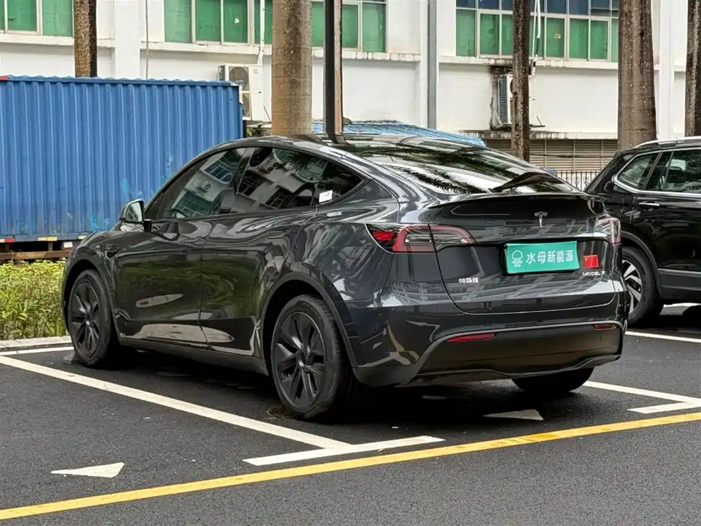 Tesla Model Y — миниатюра 6