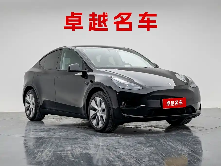 Tesla Model Y — миниатюра 8