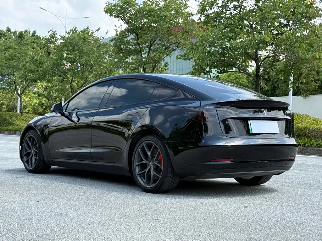 Tesla Model 3 2021 Performance 3D6