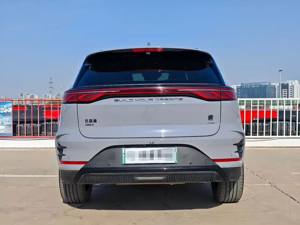 BYD Tang New Energy — миниатюра 5