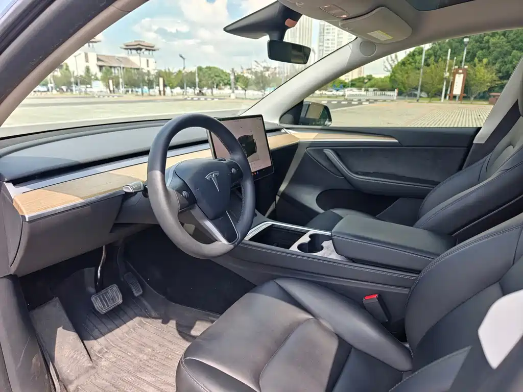 Tesla Model Y — миниатюра 9