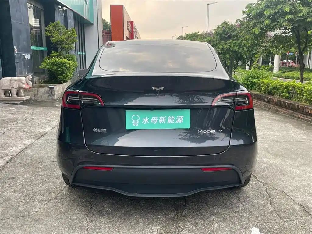 Tesla Model Y — миниатюра 7