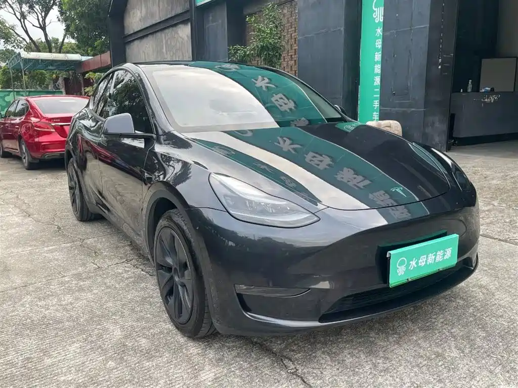 Tesla Model Y — миниатюра 11