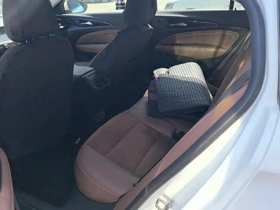 Buick Regal — миниатюра 11