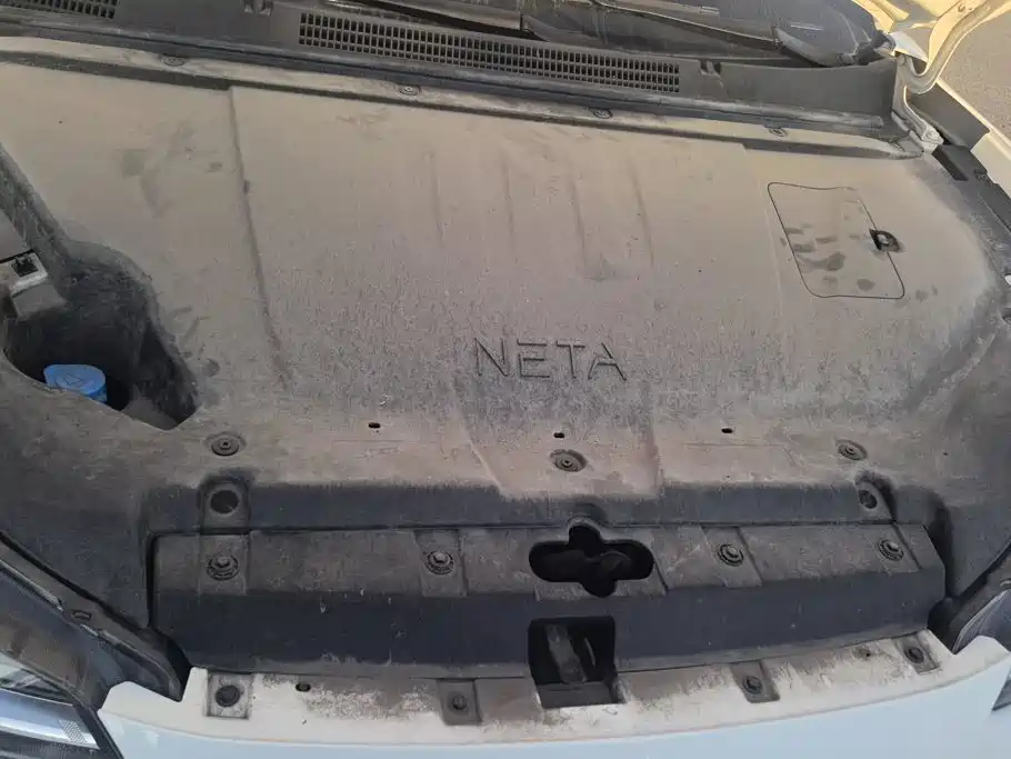 Neta Neta V — миниатюра 10