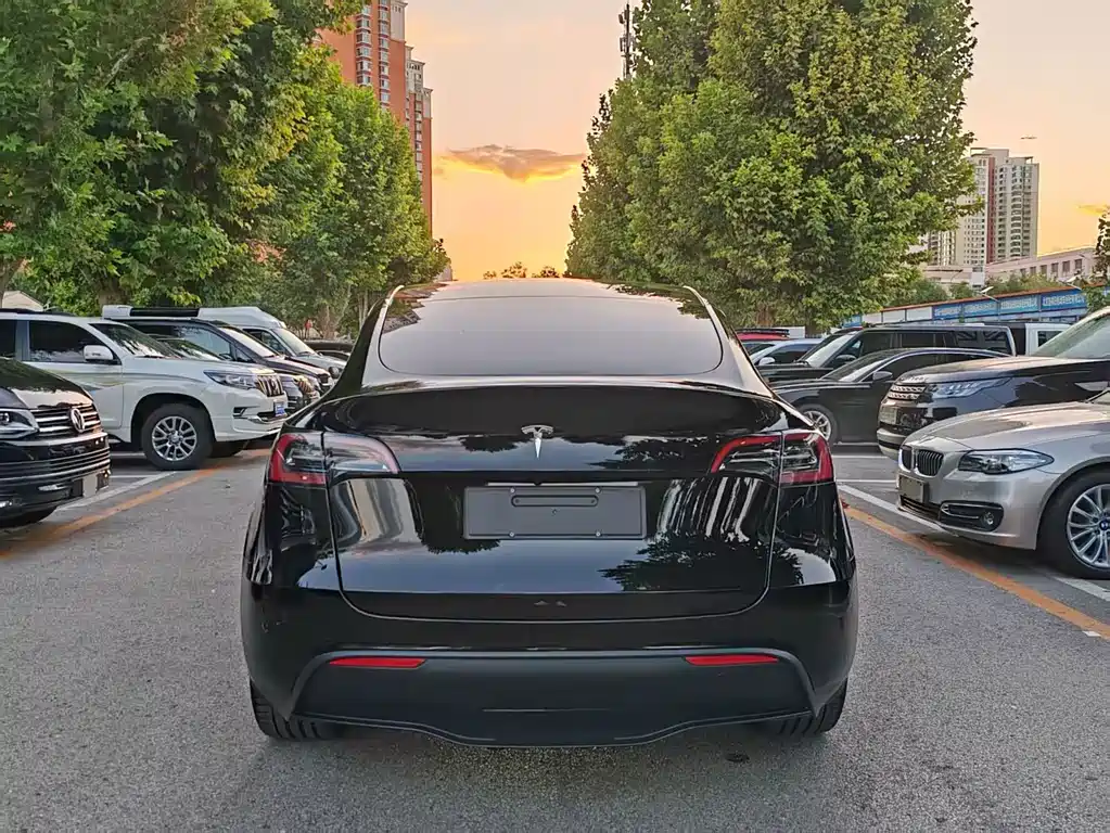 Tesla Model Y — миниатюра 5