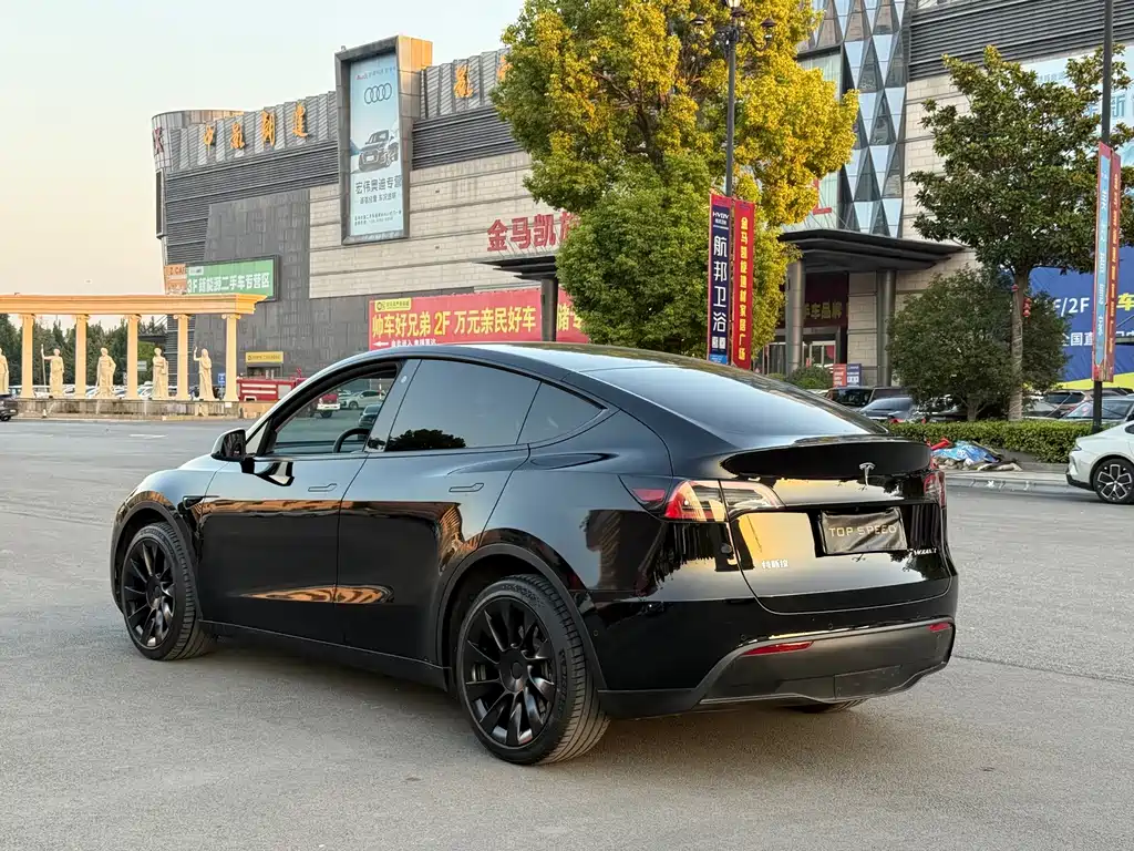 Tesla Model Y — миниатюра 9