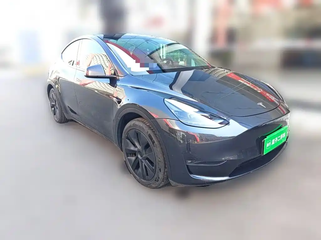 Tesla Model Y — миниатюра 3