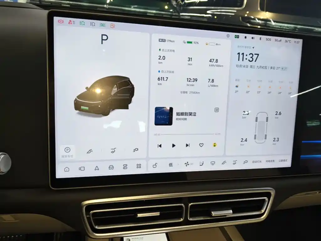 Li Auto Li L8 — миниатюра 13