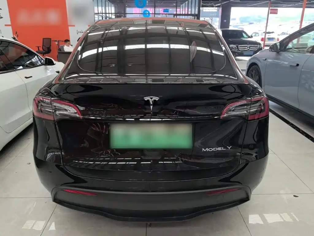Tesla Model Y — миниатюра 6