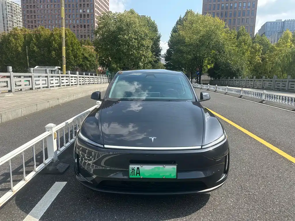 Tesla Model Y — миниатюра 2