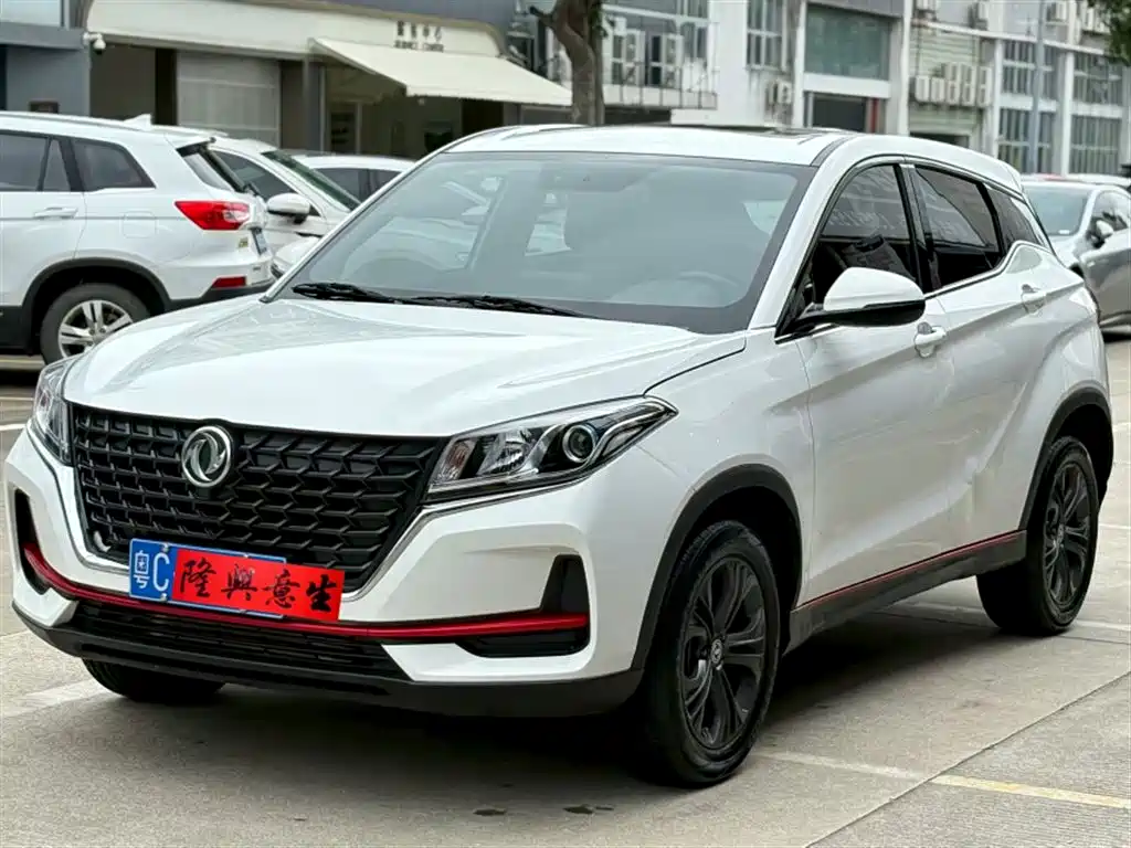 Fengguang Fengguang 500 2021