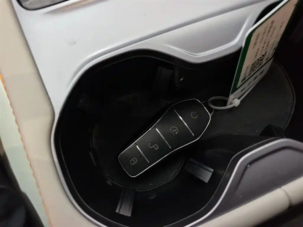 BYD Song PLUS EV - фото 9
