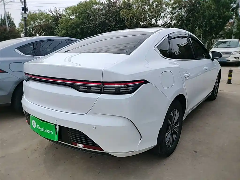 BYD Destroyer 05 2024 DM-i 55KM Luxury