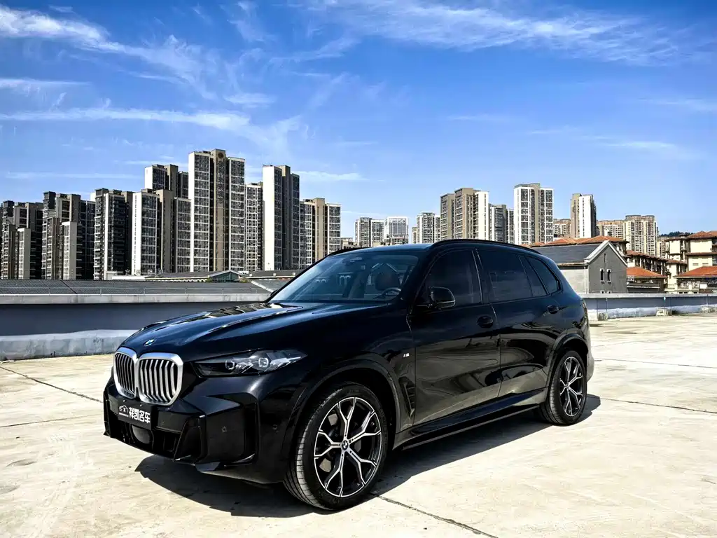 BMW X5 2024