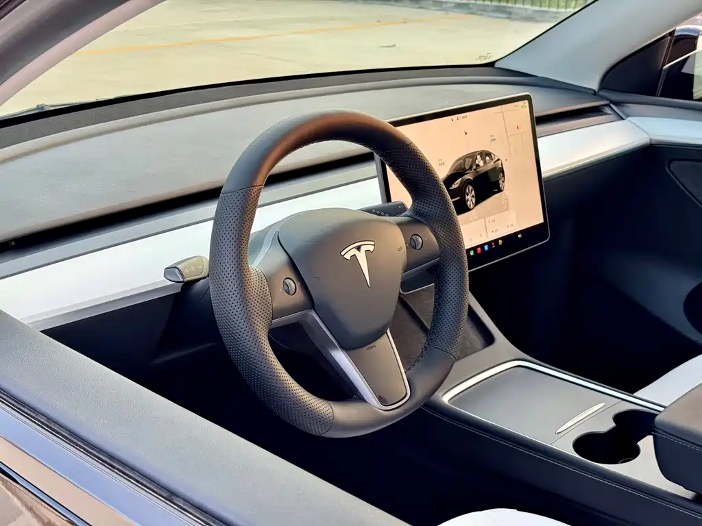 Tesla Model Y — миниатюра 11