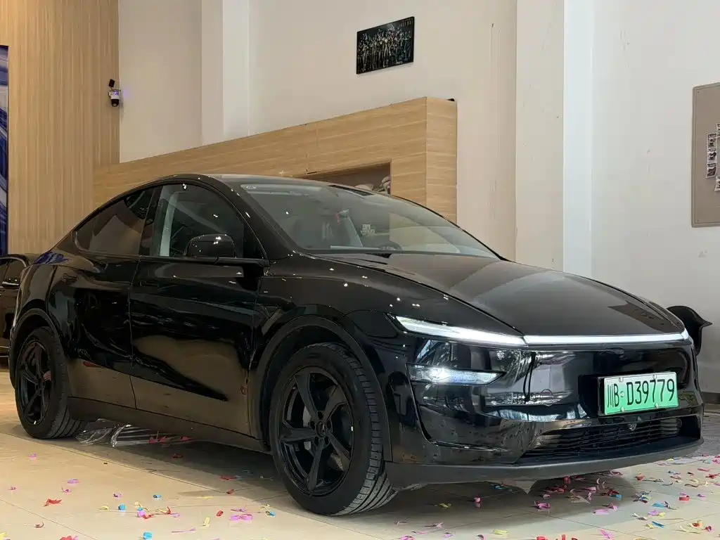 Tesla Model Y — миниатюра 3