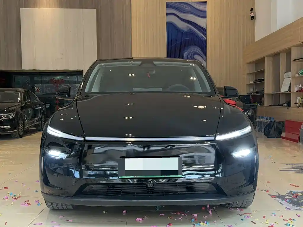 Tesla Model Y — миниатюра 2