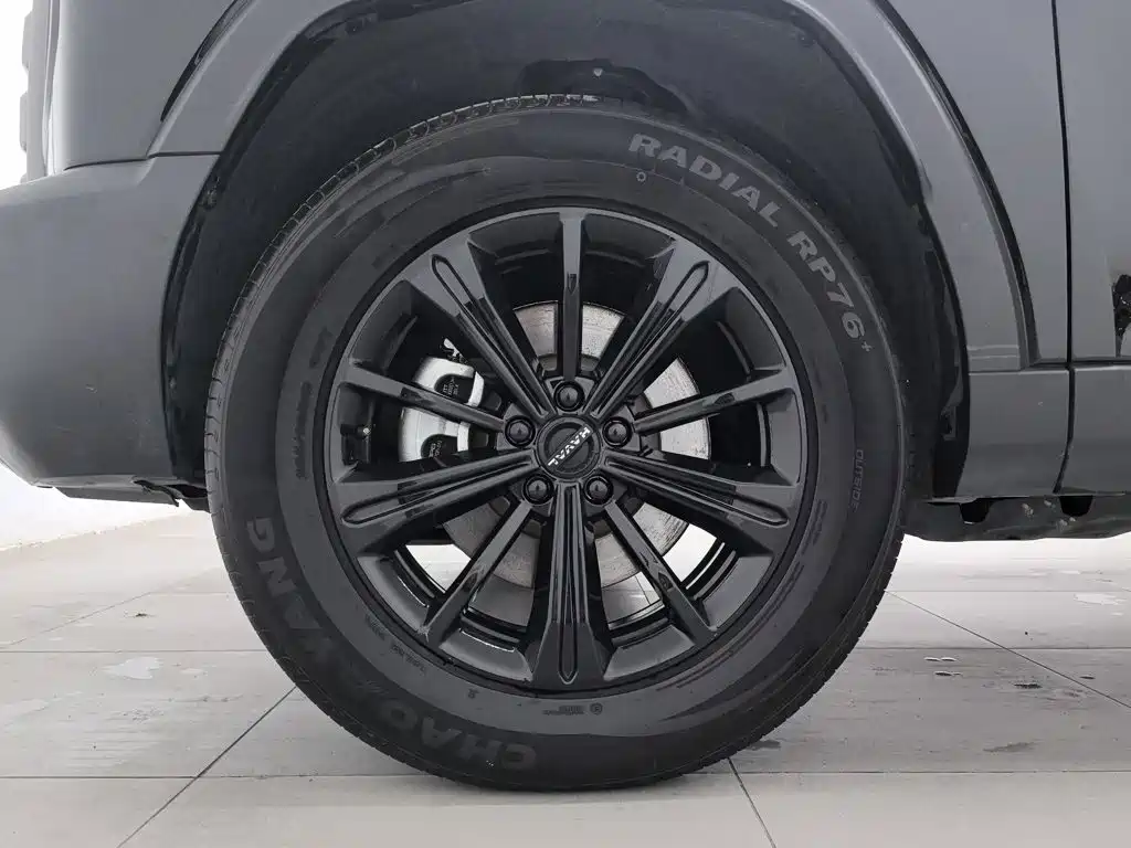 Haval Menglong New Energy — миниатюра 17