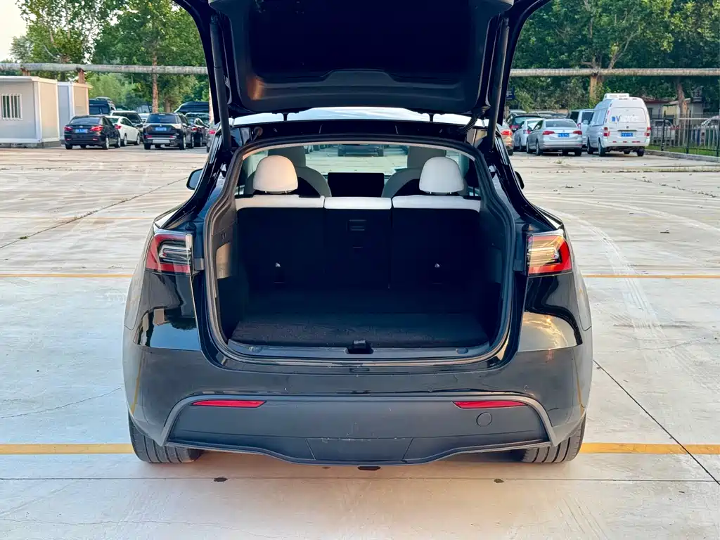 Tesla Model Y — миниатюра 27