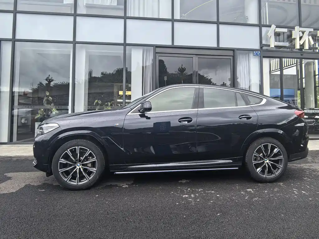 BMW X6 — миниатюра 3