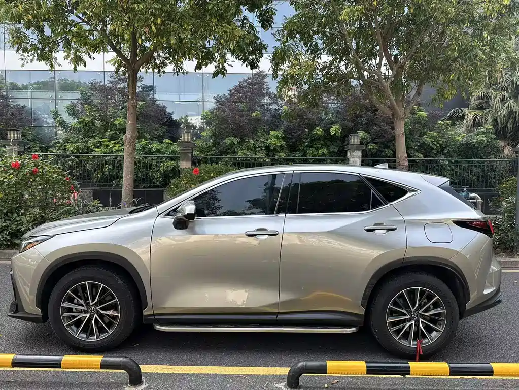 Lexus NX 2023 260
