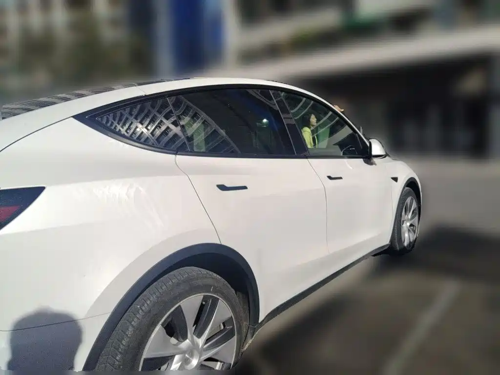 Tesla Model Y — миниатюра 4