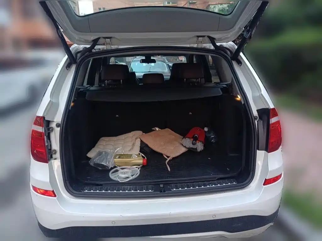BMW X3 (Import) — миниатюра 20