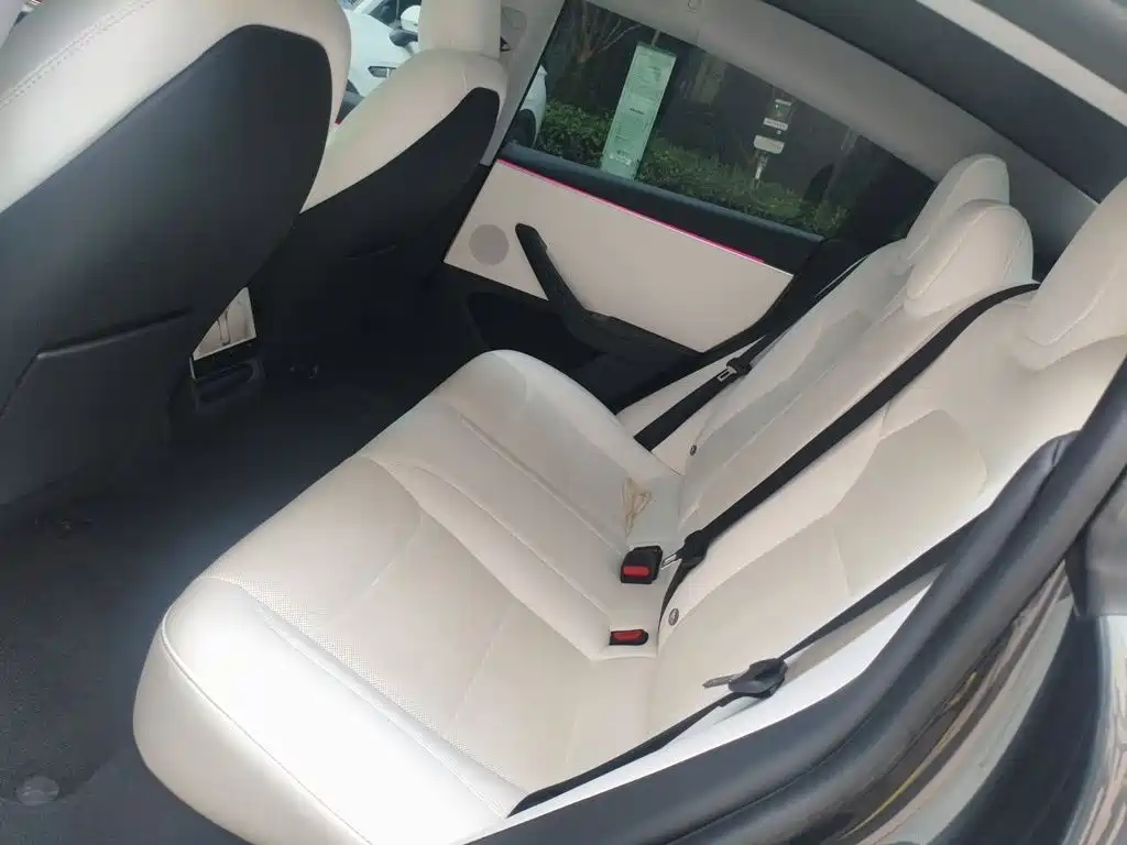 Tesla Model 3 — миниатюра 13