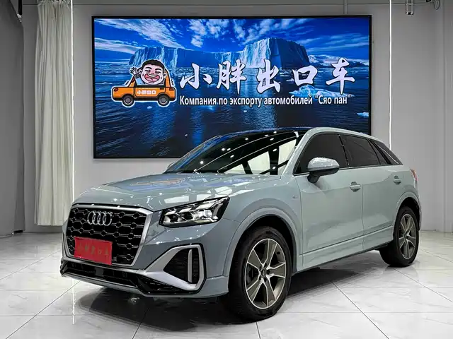 Audi Q2L