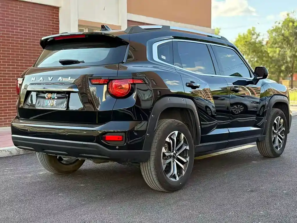 Haval Big Dog PLUS — миниатюра 7