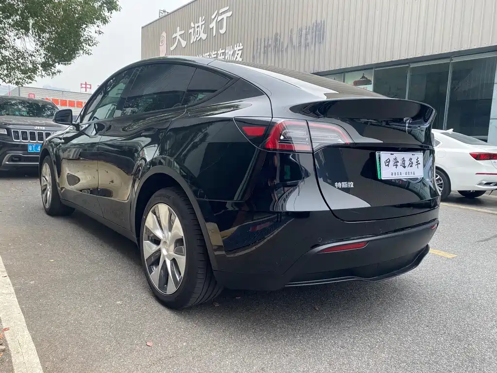 Tesla Model Y — миниатюра 6