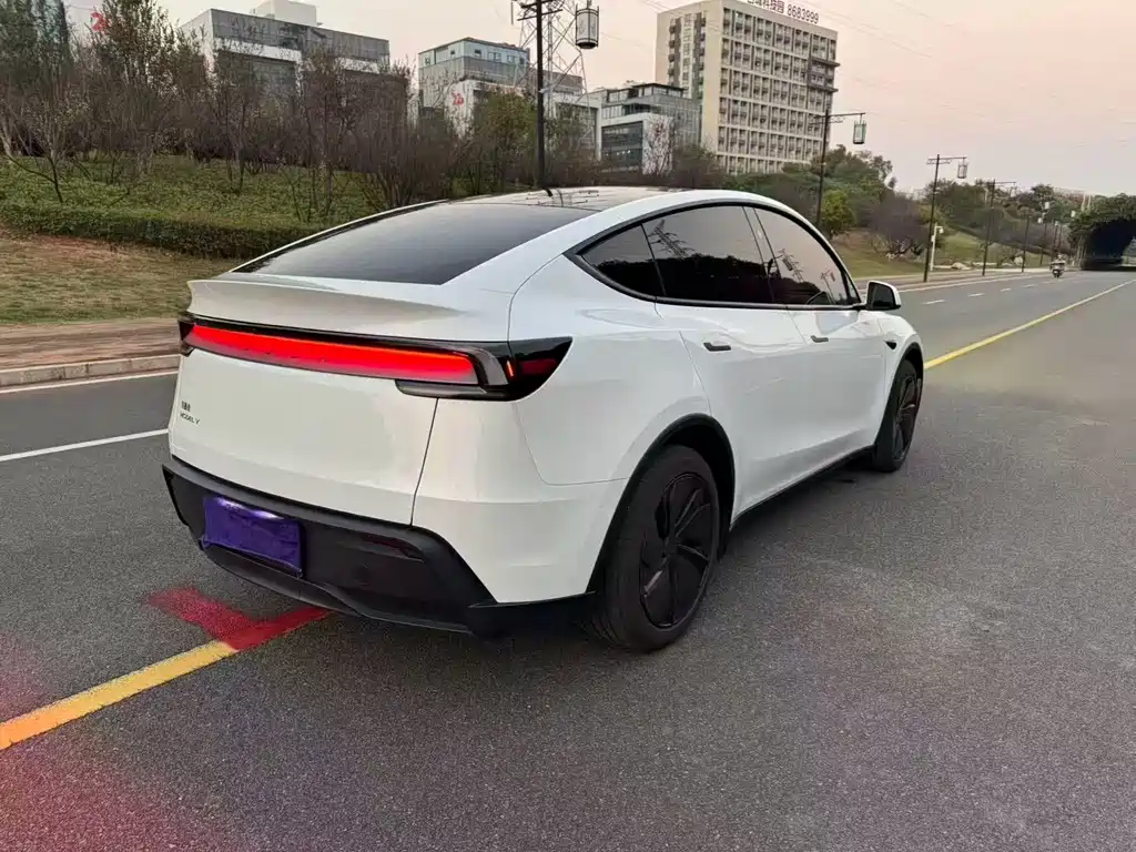 Tesla Model Y — миниатюра 5