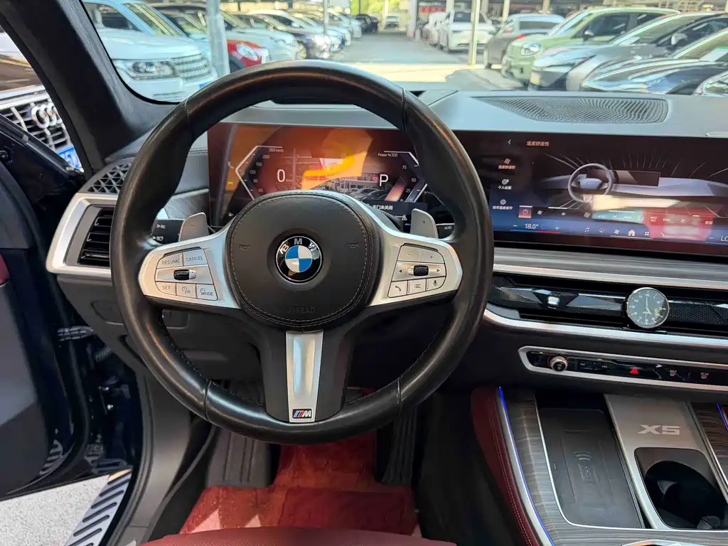 BMW X5 — миниатюра 19