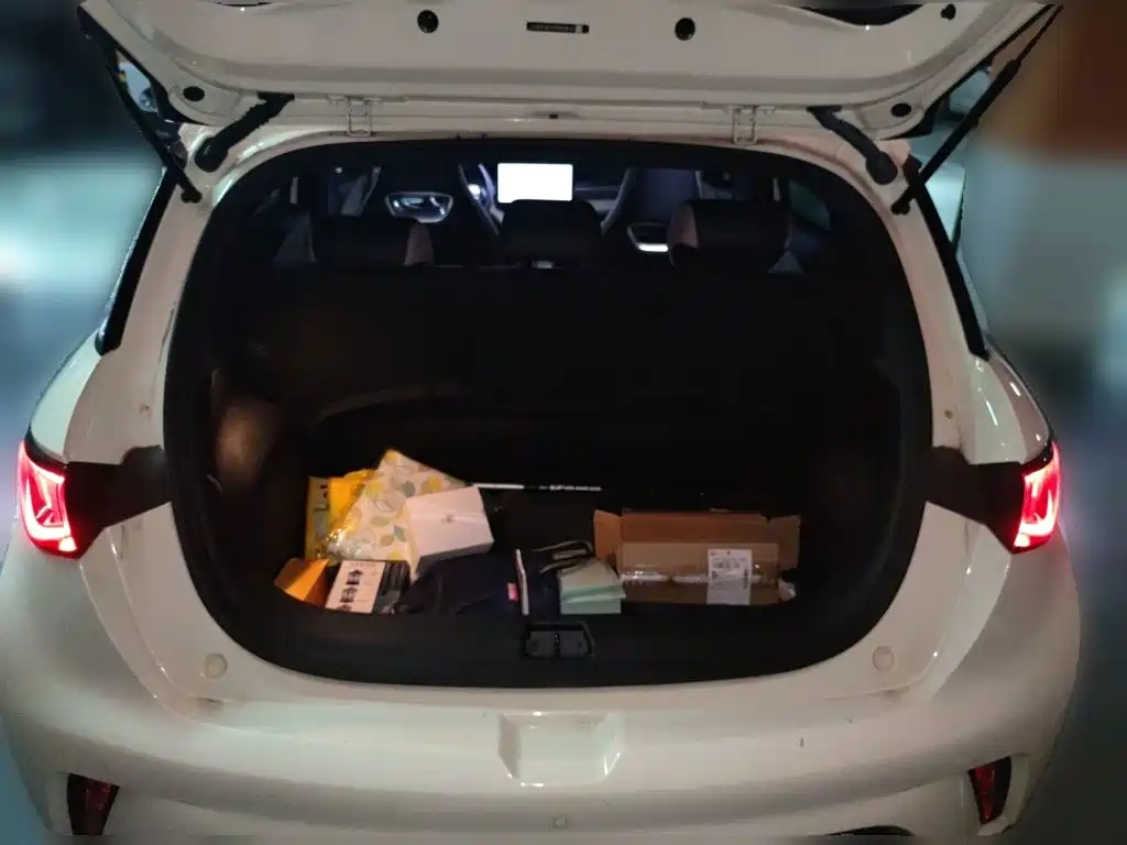 BYD Dolphin — миниатюра 10