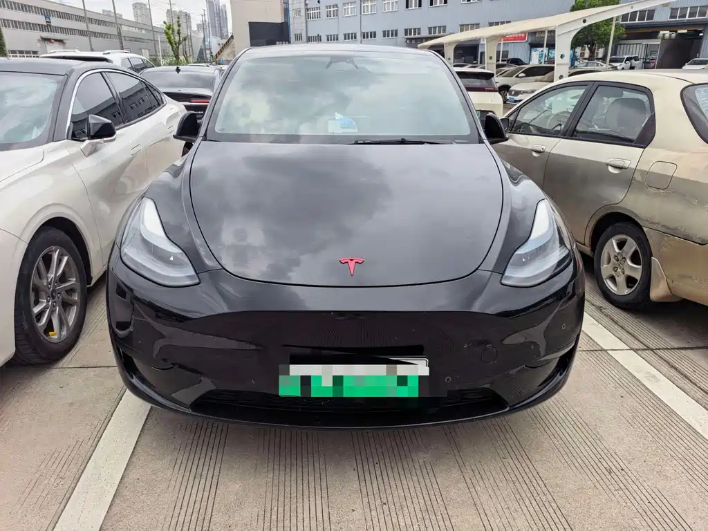 Tesla Model Y — миниатюра 5