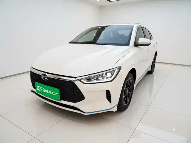 2020 BYD e2