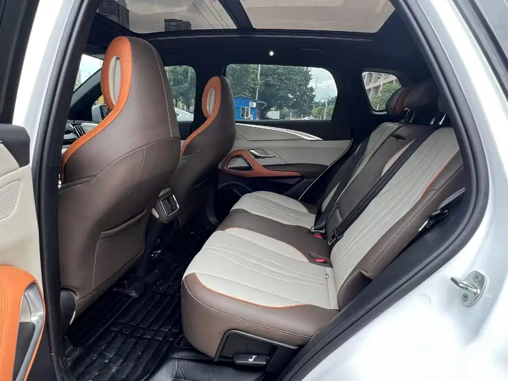 BYD Pro New Energy — миниатюра 4