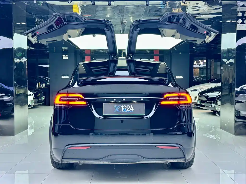 Tesla Model X — миниатюра 4