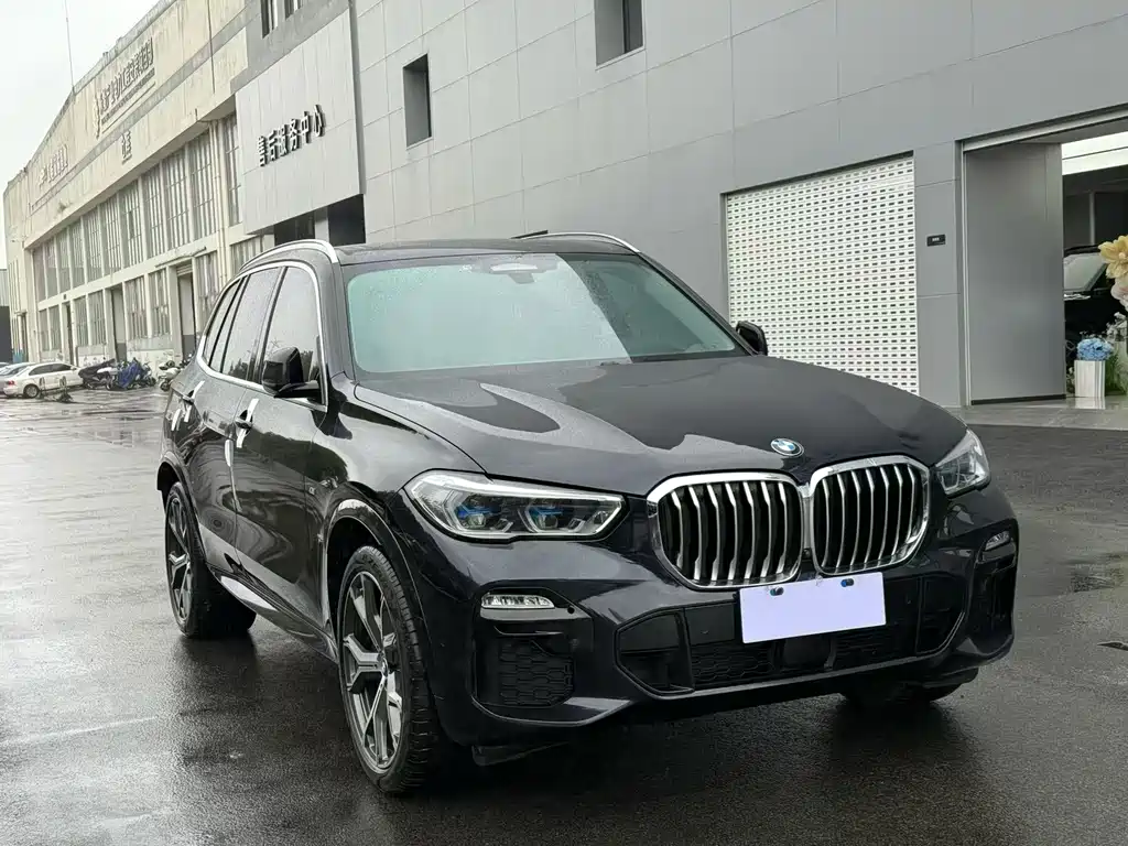 BMW X5 (Import) — миниатюра 3