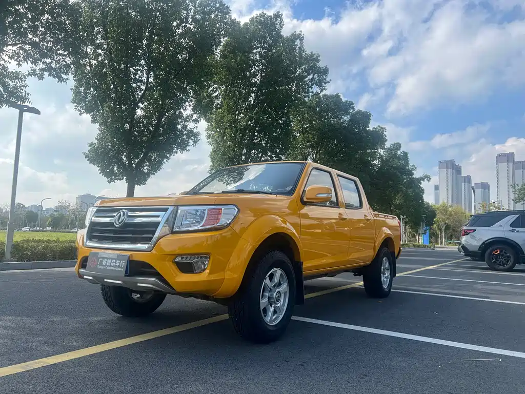Dongfeng Rich 2020