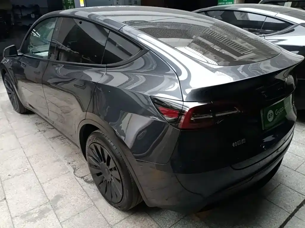 Tesla Model Y — миниатюра 5