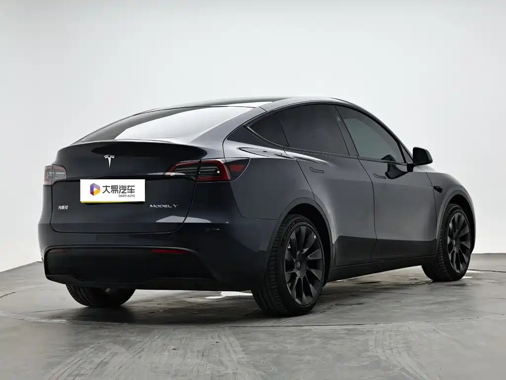 Tesla Model Y — миниатюра 3