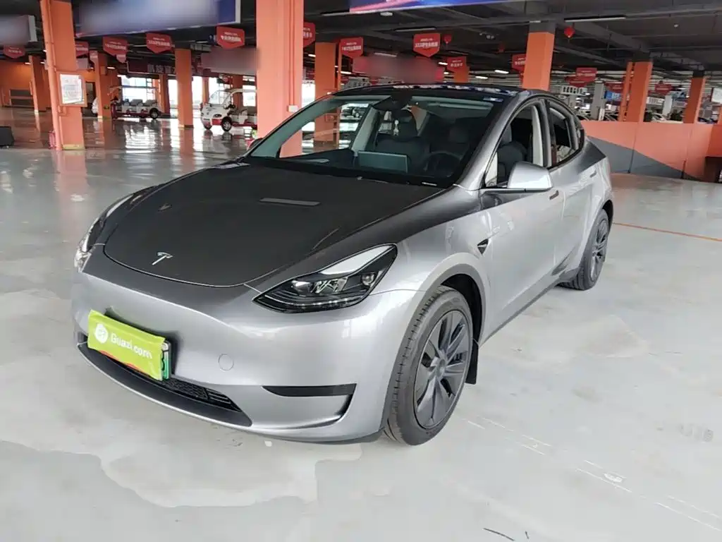 Tesla Model Y — миниатюра 2