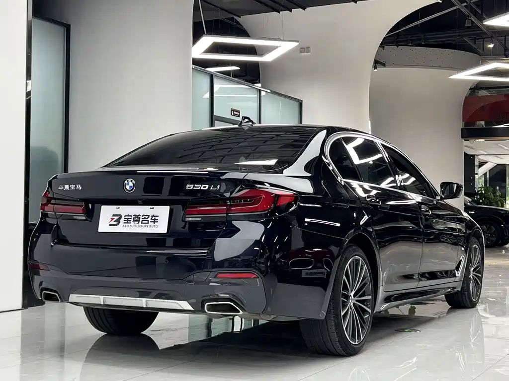 BMW 5 Series — миниатюра 11