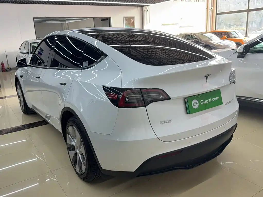 Tesla Model Y — миниатюра 7