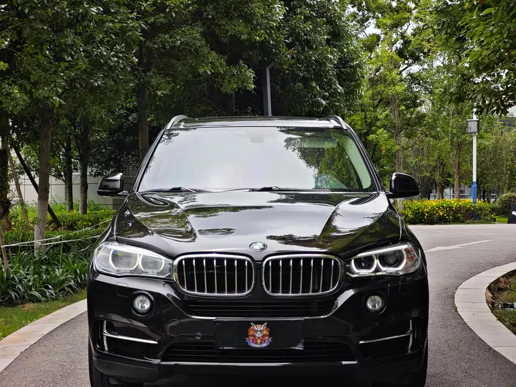 BMW X5 (Import) — миниатюра 2