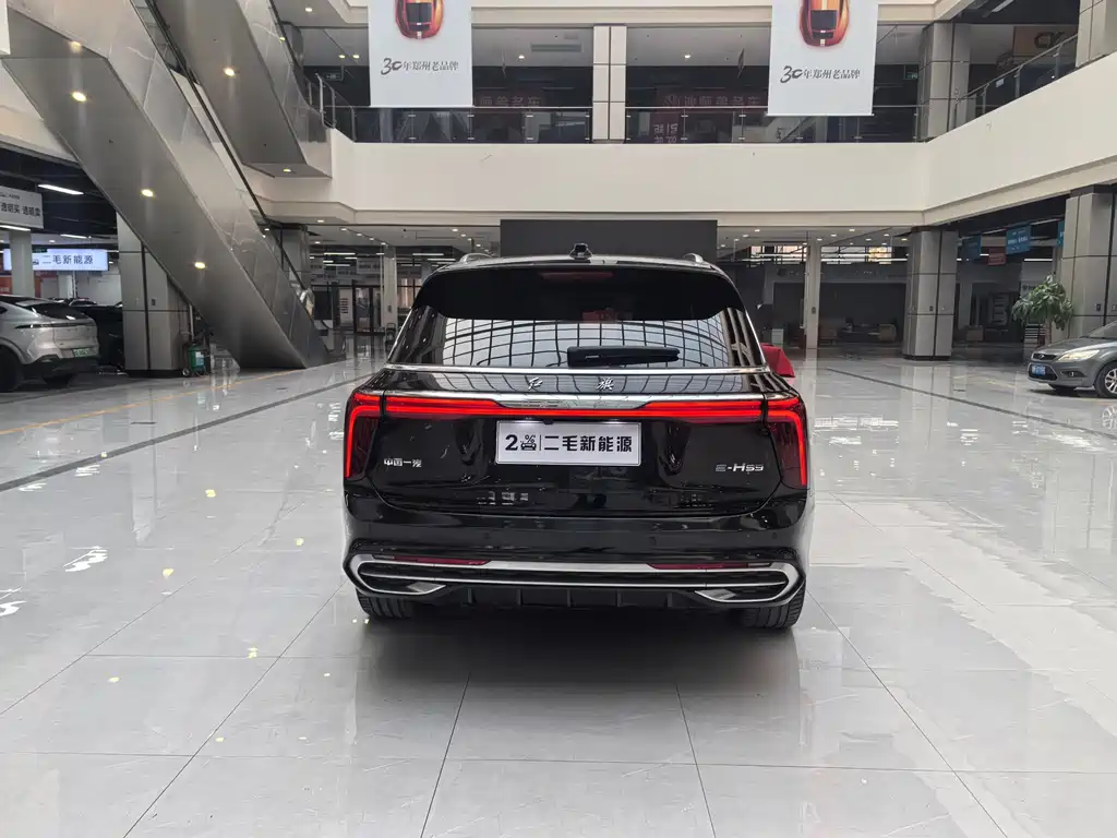 Hongqi E-HS9 2022 690km мест
