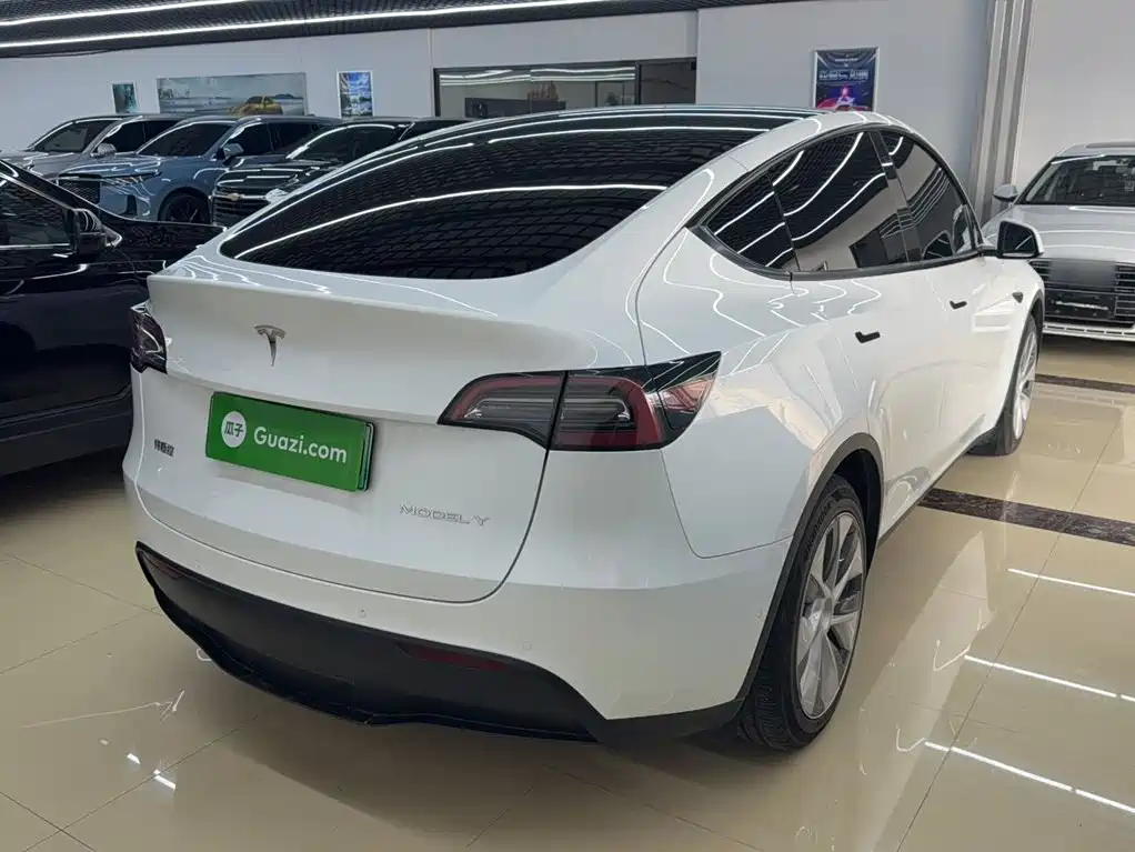 Tesla Model Y — миниатюра 5